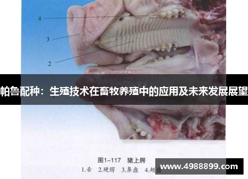 帕鲁配种：生殖技术在畜牧养殖中的应用及未来发展展望